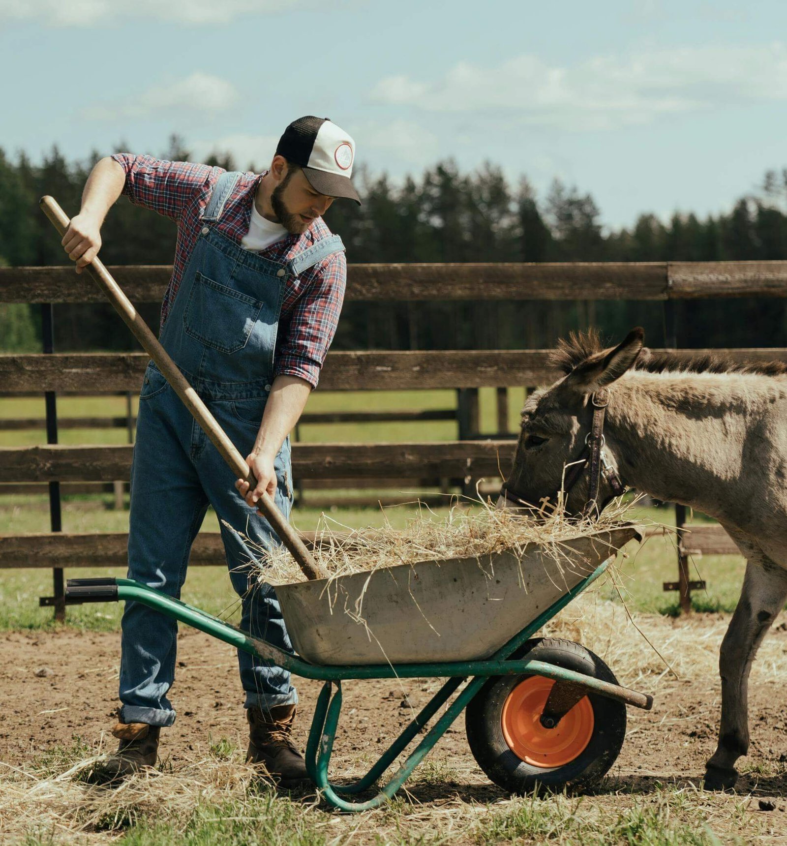 Agriculture and Farming